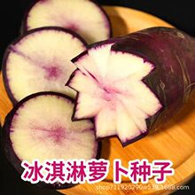 �pɫ������}���N�����Ա�����ˮ���}���ļ��}���N�Ӵ�ȫ��Ʒ�N