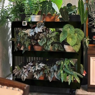 Flower Shelf Living Room Floor-Standing Trolley Storage Rack Removable Balcony Does Not Occupy Space Plant Begonia Succulent Rack