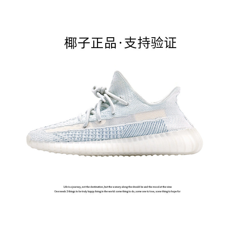 빙란 안개꽃 [공식 정품 - 인증 지원]