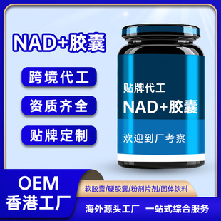 �羳����NAD+�z������������׸��ğ������r�����z�����OEM����