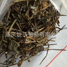 1����ɢ�b���lһ�c�t�o�~��Ʒ�t���~����ݼt�^�� �~�¼t �ϱ��~