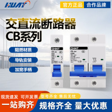 原装正泰交直流断路器CB-60A 1P/2P 32A 63A 100A 125A空气开关