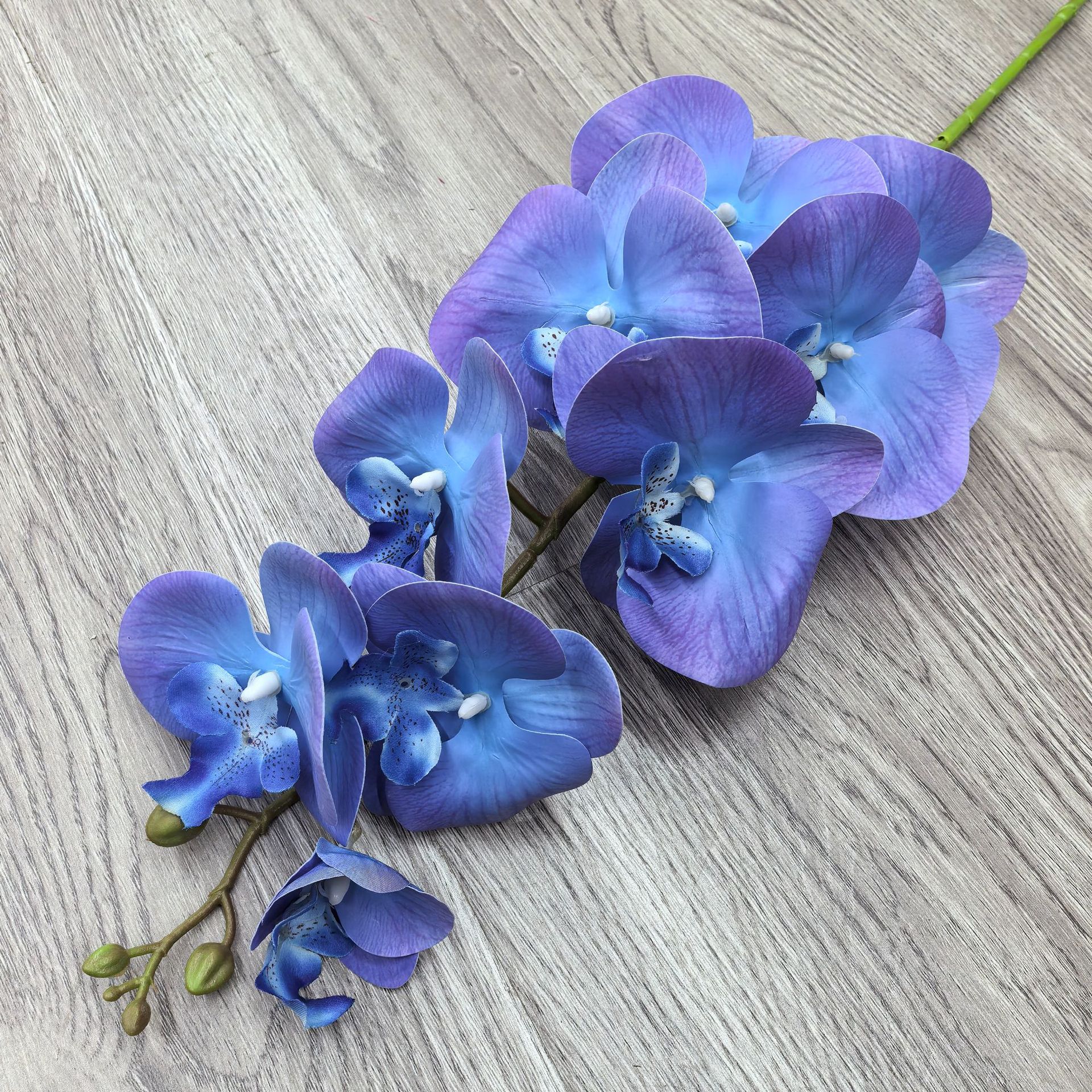 보라