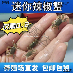 ����ззˮ�����lС�з����з�ľ�з�[��С����С�з�����з