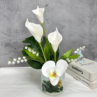 ����PU��֧�R��ɏ�ٻ��S�����lС�R��ɏ���Ҿӻ�Y�b�ƿ���[����