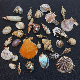 Natural shell Sea 3D snail scallop pendant aquarium decoration single hole plating pendant DIY necklace jewelry wholesale