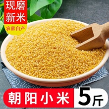 �|���خa�r���SС������5�ﳯ�С�S��С����ּZ�s�Z�����oʳ