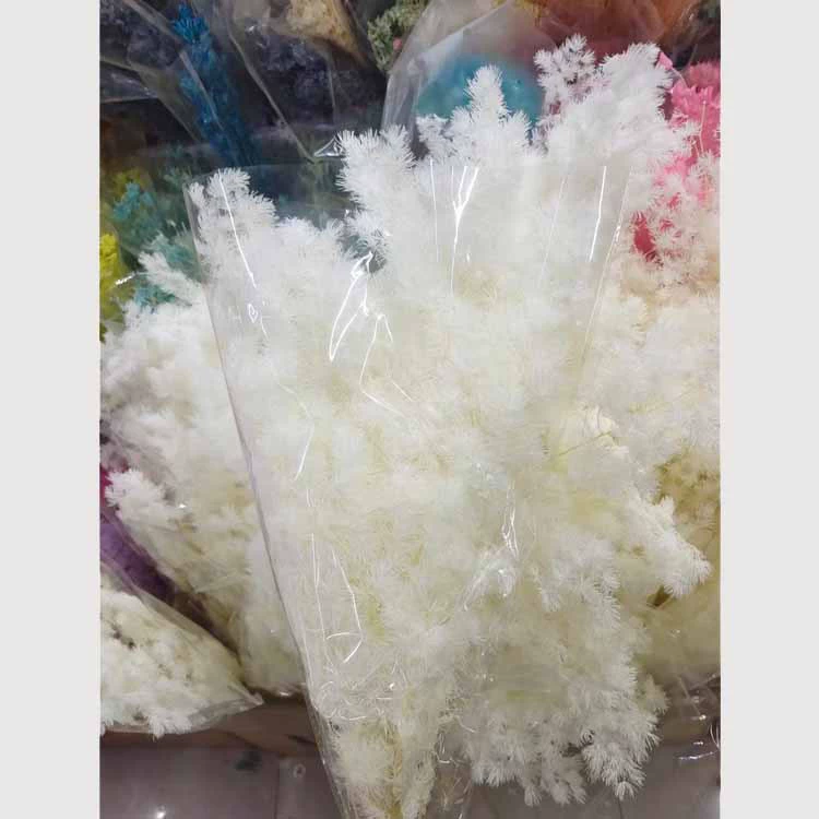 [diy]
