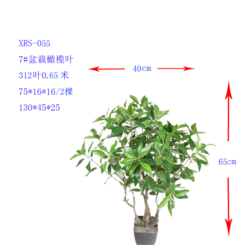 XRS-055 7#盆栽橄榄312叶0.65米.jpg