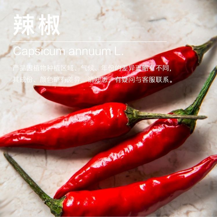 �򻨹�Ӧ������ ���ٽ������� ֲ��������������ӭ�ɹ�