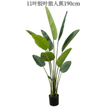 ���������Ž������˽��辰��~ֲ�����˽��㽶��G�߷���