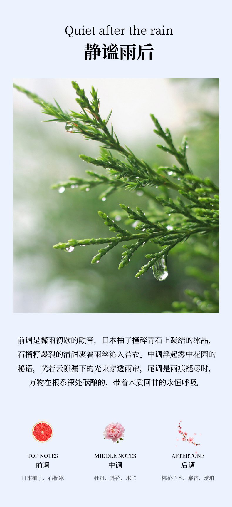 Car Aromatherapy Cloud Viewing Car Perfume Men's and Women's Car High-End Smart Fragrance Technological Car Ornaments