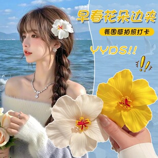 �紺�Ʒ��ɫ���ɻ���l�A��߅�A�����ճ�Ƭ�l��������|�Շ��l�