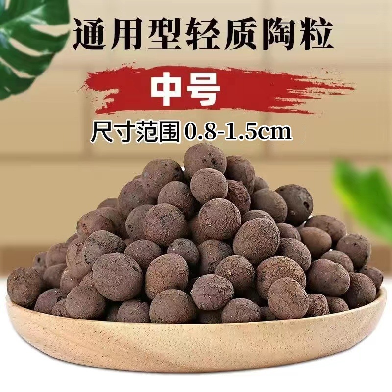 중형 꽃재배 도자기 [포장/바닥] 인기 추천