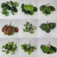 ����Gֲ�W�y�~�f����â���~�G�l�y�����G�ľG�}�t���~�ع����~��