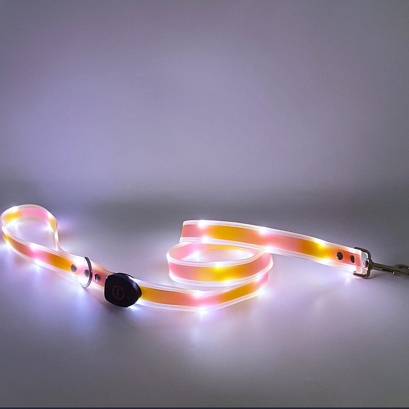 핑크와 오렌지색 개 가죽끈(뜨거운 판매 신제품, 몇 초 안에 배송 준비 완료)