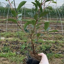 �t�~ʯ��� �t�~ʯ骘���r�� �G��ɫ�K�� �ļ�����