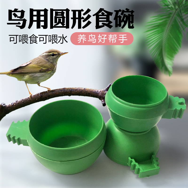 鸟用食碗食槽鹦鹉用喂食器鸟用饮水器加食器喂水杯塑料鸟食盒