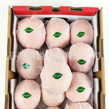 17��ˮ�����b�� ���ָ̹��߱��r������ �\ݔ��Ħ����ѩ�漈ӡlogo