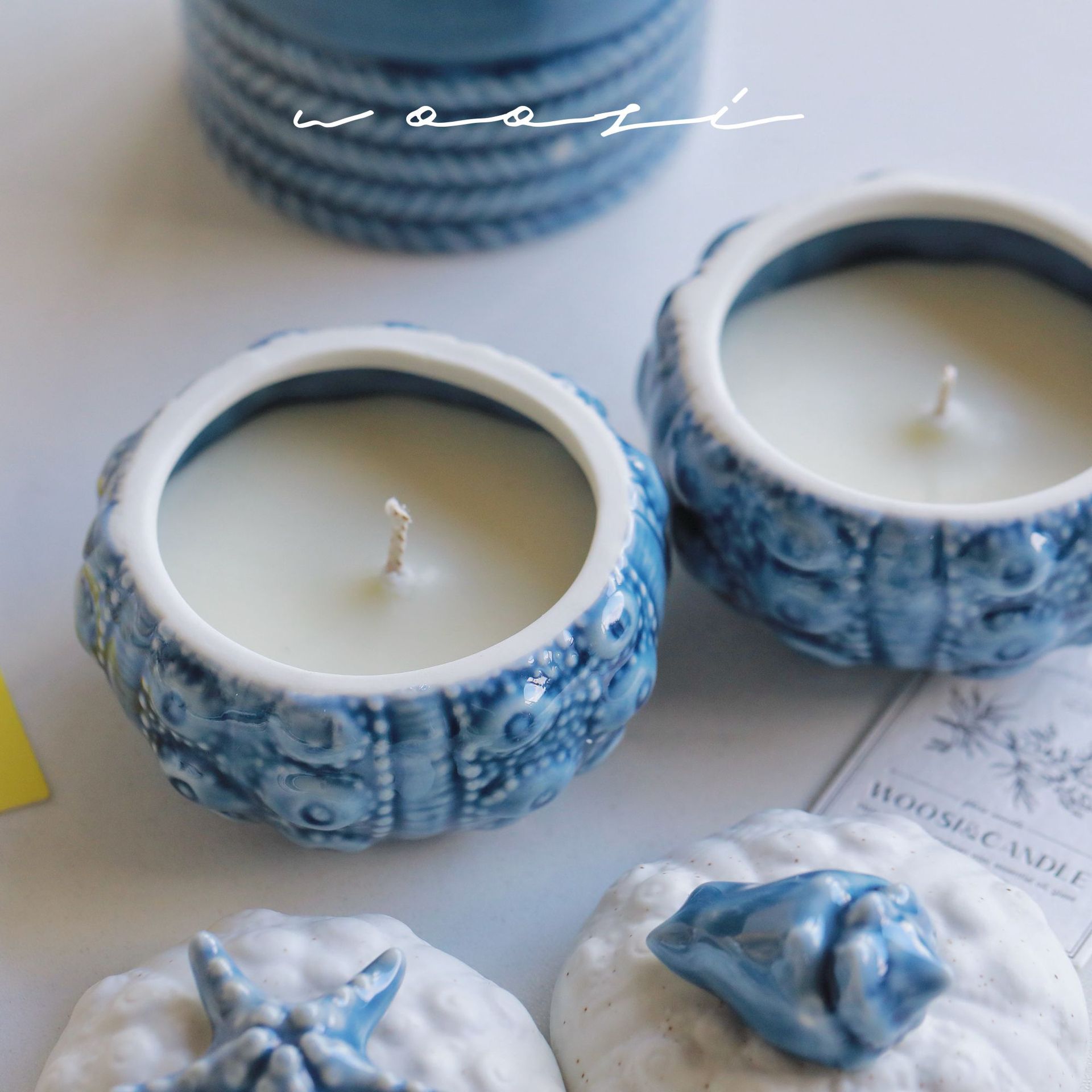 Vela aromática artesanal de cera de soja em forma de concha_voghion.com