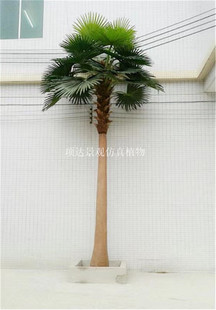 �����ѿ����ȿ������˿���Ꭷ�쾰���҃����̈��V�����@���^�b�