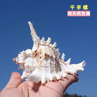 ǧ������Ȼ����ؐ���~���b�Ʒˮ�����쾰�ľ�з��Q���[�ؘ˱���