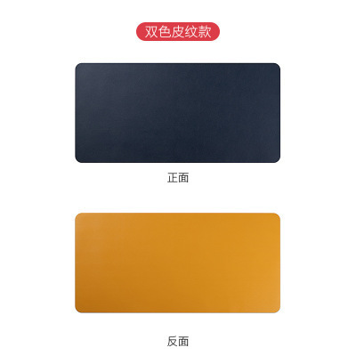 사파이어 블루 + 옐로우