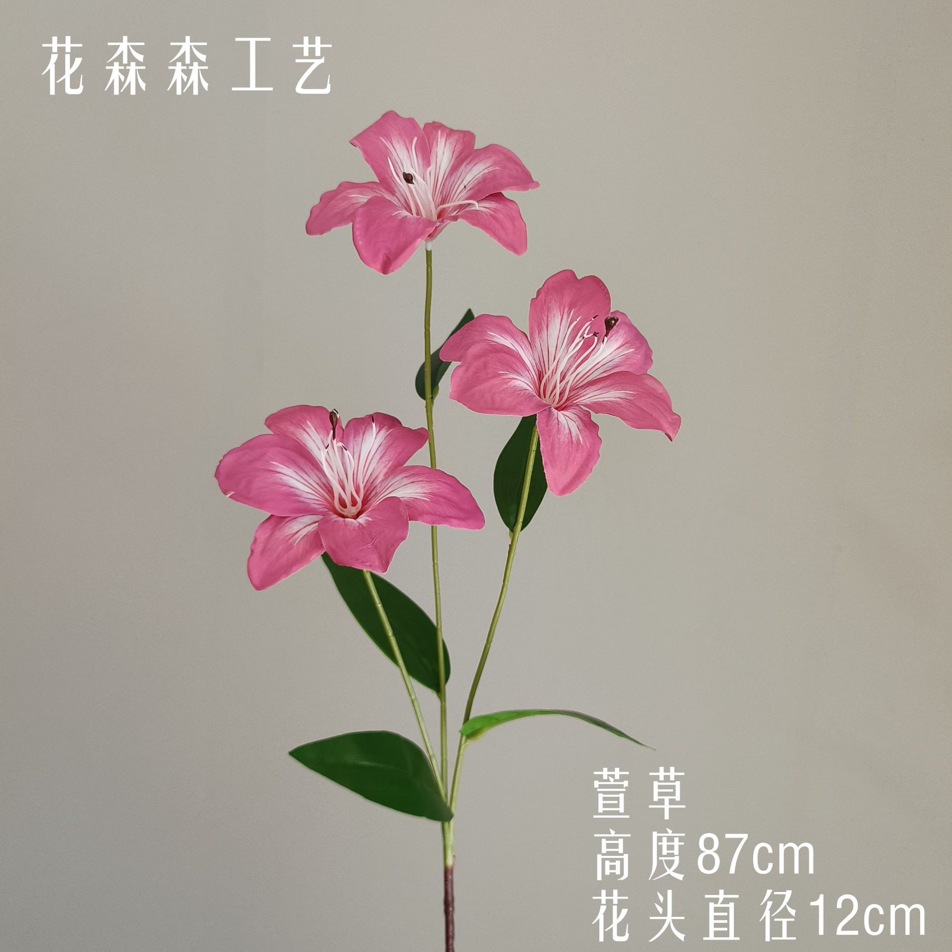 헤메로 칼리스 릴리 115508