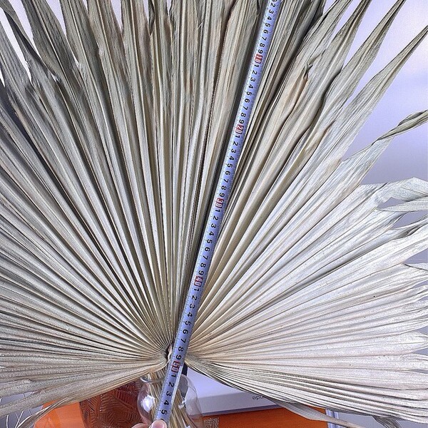 Palm fan blades dry flowers