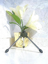 �yɫ��t�ۯBԒͲ֧�� ���������L���_�� ����5/8��y��о�_���