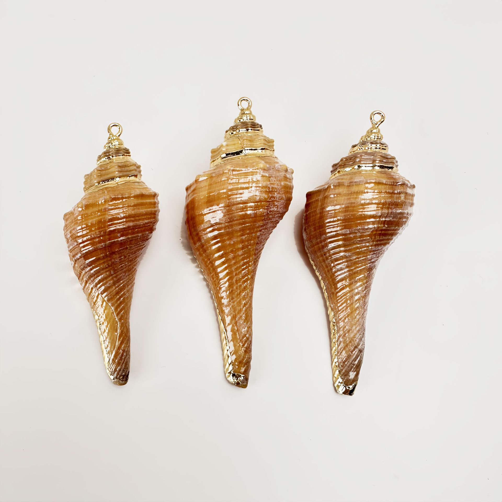 닭다리 달팽이 2마리