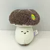 Mushrooms (fruit)