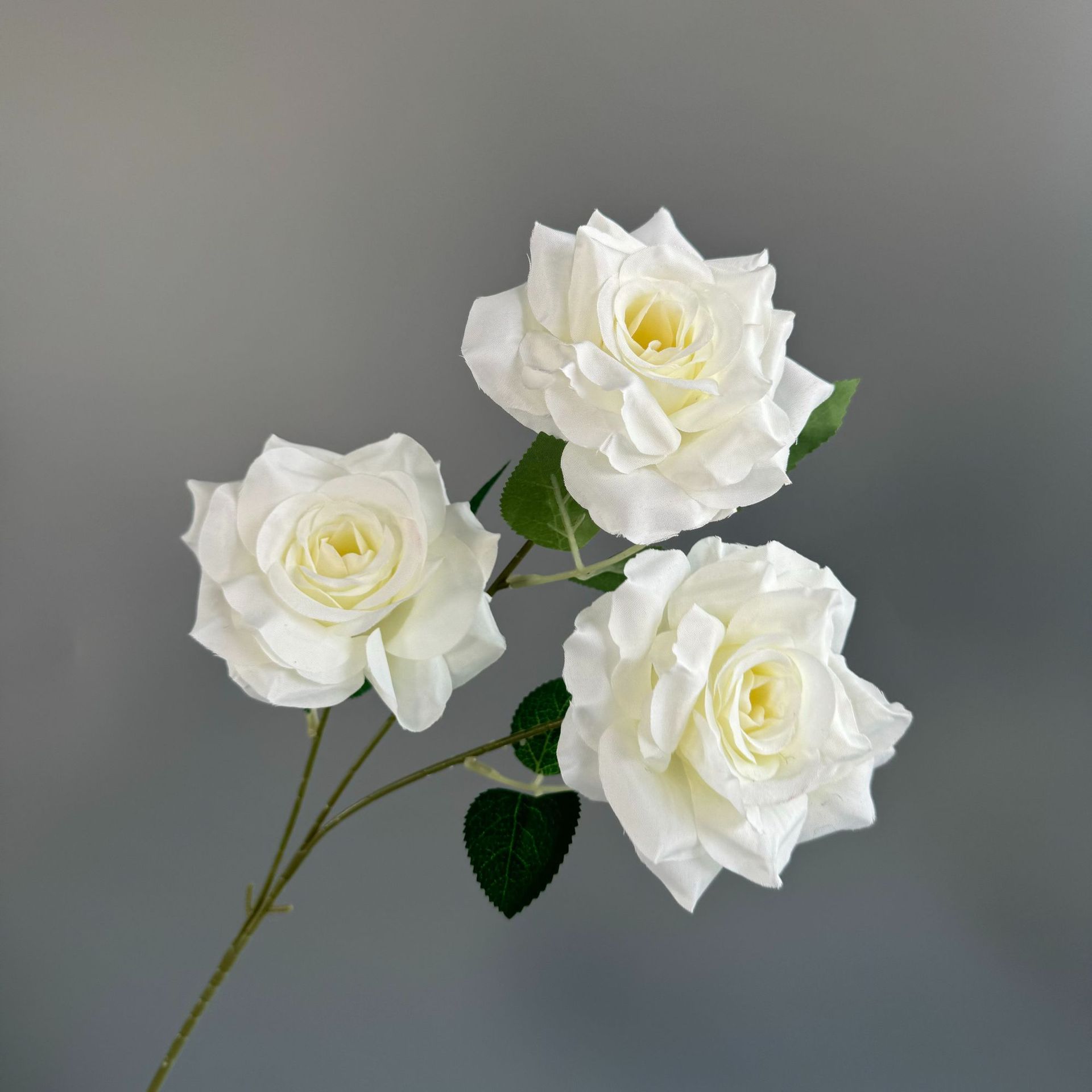 유백색(잎 없음)