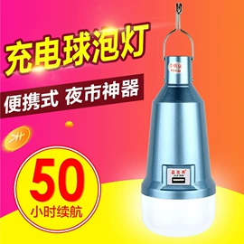 LED应急灯;野营/露营灯;投光灯