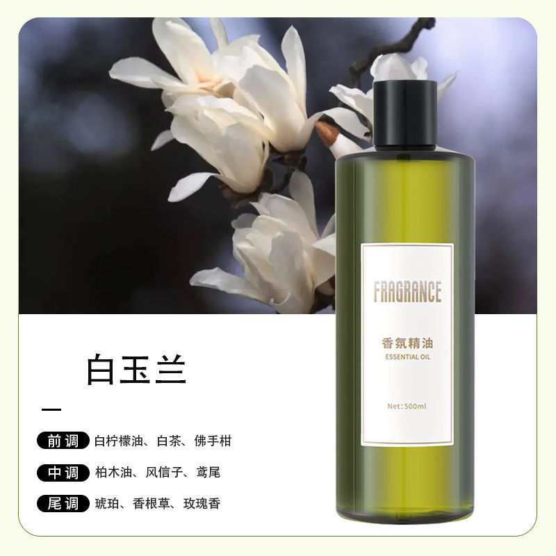 목련【꽃】