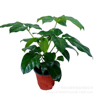 ���~���^�~ֲ�����Կ͏d�̨�k�����������Թ��@�G���ر���