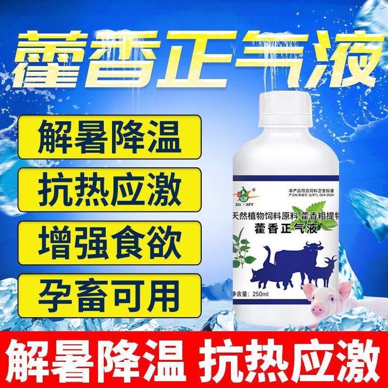 Huo Xiang Zheng Qi 液体は、鶏、アヒル、ガチョウ、熱中症予防、動物、家畜、豚、牛、羊の熱中症予防および熱ストレス予防用に使用されます。|undefined