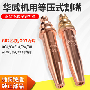 Warwick Machine Isobaric Cutting Nozzle G02 Acetylene G03 Propane Semi-Automatic Flame Cutting Nozzle Cutting Machine with Leidezhu