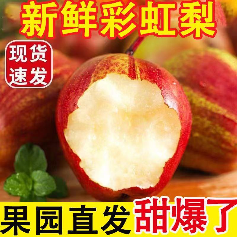 Shaanxi Fresh Rainbow Pears, Crispy Pears, Early Crispy Pears, Crispy Sweet Red-Skinned Thin-Skinned Fresh Fruit Pears, 4.5kg Whole Box Free Shipping Shaanxi Fresh Rainbow Pears, Crispy Pears, Early Crispy Pears, Crispy Sweet Red-Skinned Thin-Skinned Fresh Fruit Pears, 4.5kg Whole Box Free Shipping