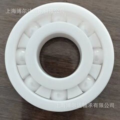 SK.FNSIK精密ベアリングステンレスベアリング海水酸アルカリ腐食耐性船舶用6205 6206 6207CE