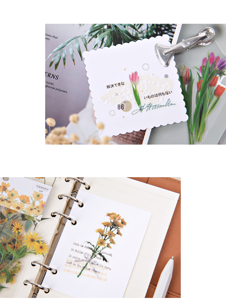 1 Set Flower Class Learning Mixed Materials Vintage Style Stickers display picture 4