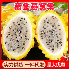 ����������C��5���������r�Ꭷˮ���SƤ10���l���]3���Sɫ������