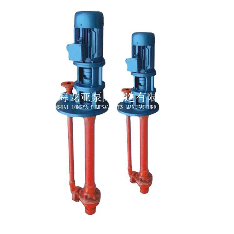 上海供应100FSY-32380V利其丁耐腐蚀泵 上海液下耐腐蚀泵