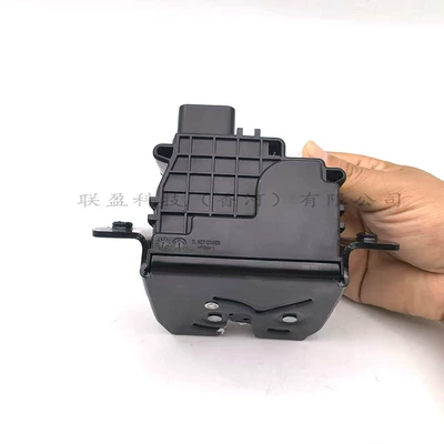 Central locking for Modern Tailgate