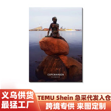 北欧城市风景客厅装饰画亚马逊代发文艺喷绘无框画玄关高清画芯