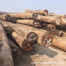 ���_ ���_ԭľ��� �Nޱľ �Nޱԭľ��� �ذ� Ҏ��ӹ� �Sđľ