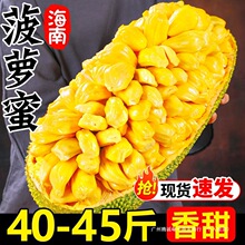 �S�Ⲥ�}�ۺ��Ϯa��ֱ�l40-45��Ꭷ���rˮ�����r����ˮ�������]