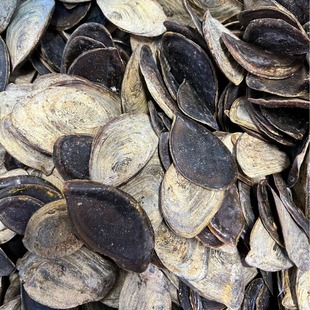 ��Ȼ�����ϸ���㺣���w�݅�1000g�ŷ����y���㌣����Ȼ�����