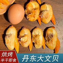 丹东特产大文贝干大个黄蚬子干干货即食无沙去内脏新鲜海鲜零食