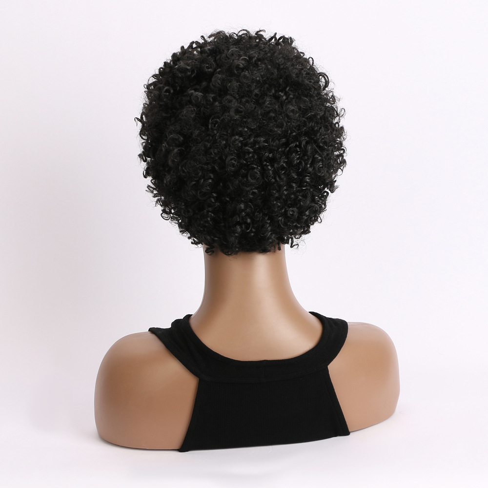 AliExpress nueva moda corto Pelo Rizado europeo y americano moda peluca negro pequeño rizado elástico malla sombrero femenino en stock